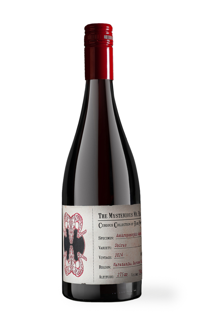 Anthropomorphic Ambrosia - The Curious Collection - The Mysterious Mr Black